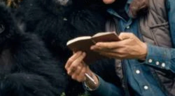 Dian Fossey