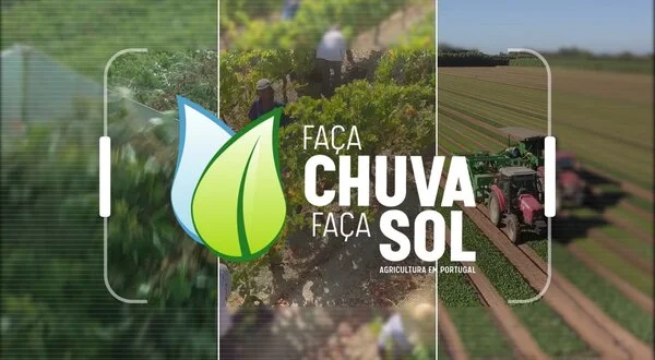 Faça Chuva Faça Sol