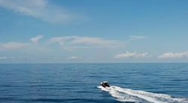 Chasing Giant Hogfish at the Florida Middlegrounds