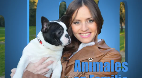 Animales en familia