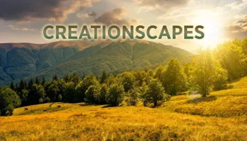 CreationScapes