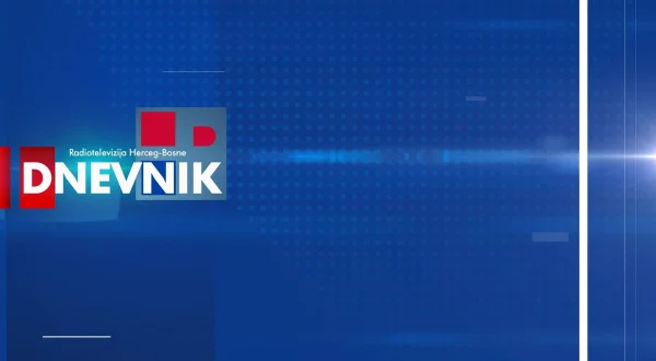 Dnevnik