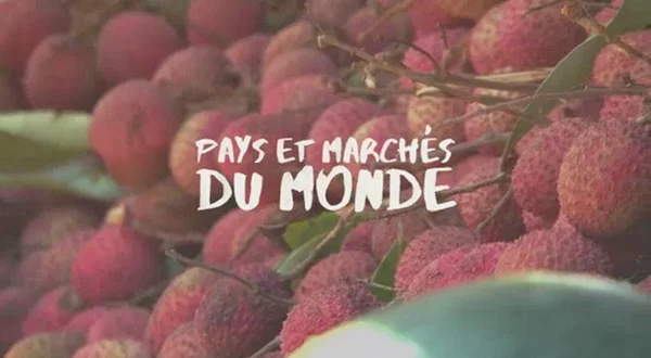 Pays et marchés du monde