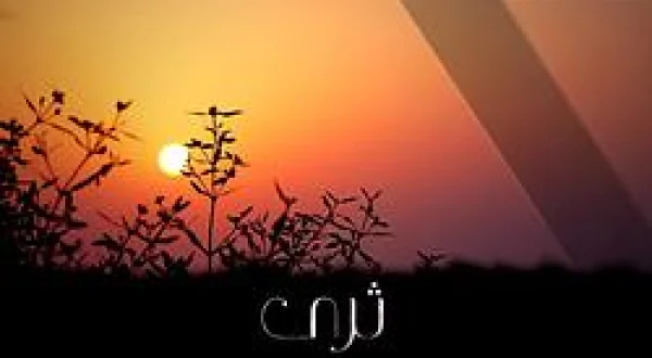 Soil