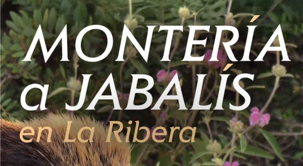 Montería en la ribera a jabalíes