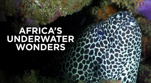 Africa's Underwater Wonders