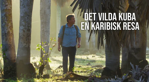 Det vilda Kuba: En karibisk resa