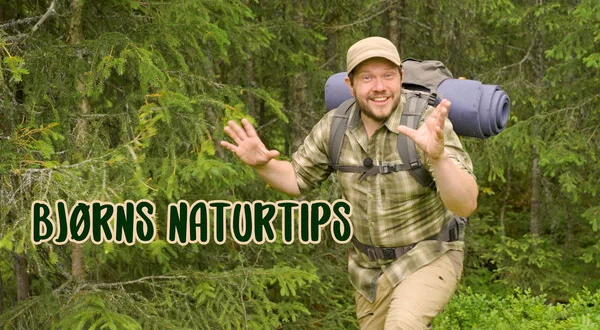 Bjørns naturtips
