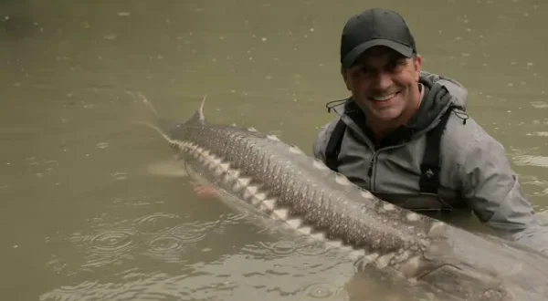 Chasing Monsters - Monsterfischen auf der Spur