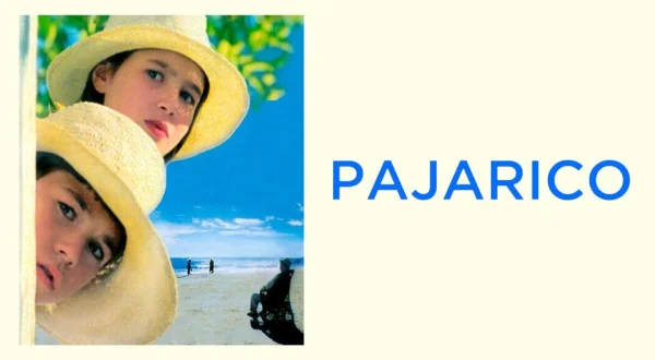Pajarico