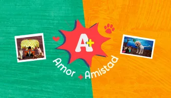 Amor y amistad