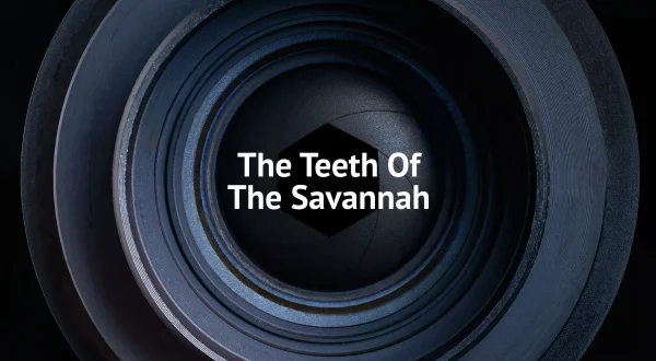 The Teeth of the Savannah