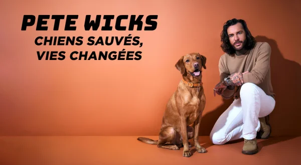 Pete Wicks : chiens sauvés, vies changées