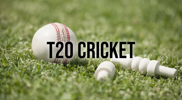T20 Cricket
