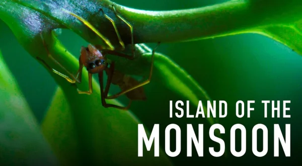Island of the Monsoon