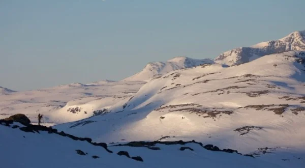 Vincent Munier, éternel émerveillé