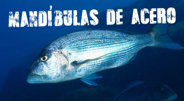 Mandibulas De Acero