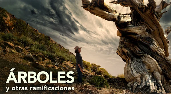 Árboles y otras ramificaciones