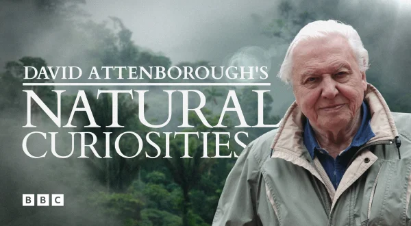 David Attenborough's Natural Curiosities
