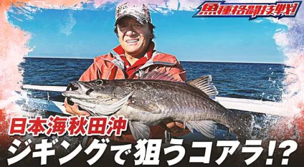 魚種格闘技戦！ 294 秋田沖コアラ狙いの秋祭り？
