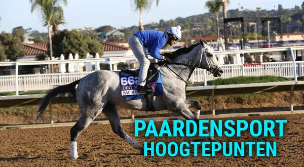 Paardensport Hoogtepunten