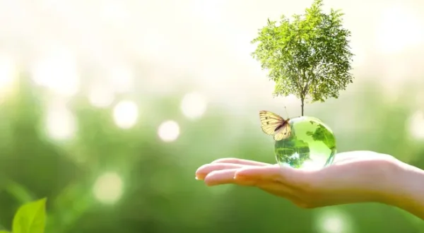 Green Life