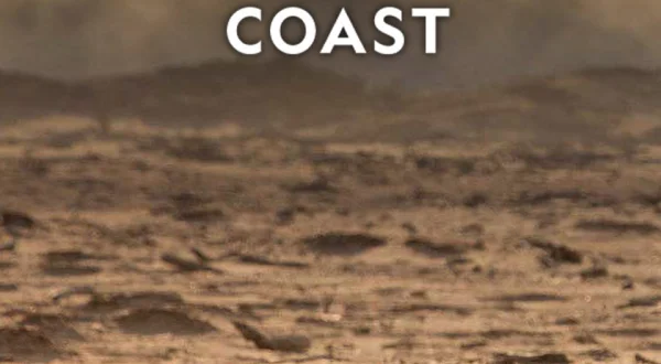 Desert Lions: Surviving at Skeleton Coast