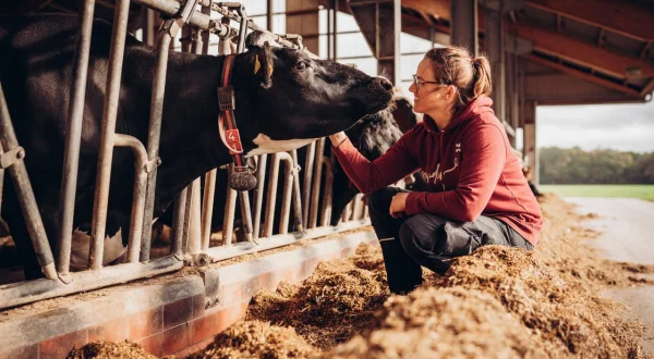Die Geschichte der Landwirtschaft
