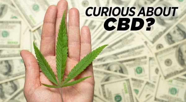 Curious About CBD?