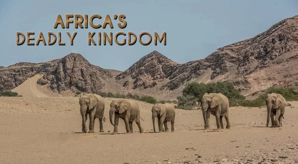 Africa's Deadly Kingdom
