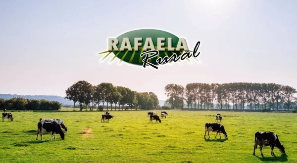 Rafaela Rural