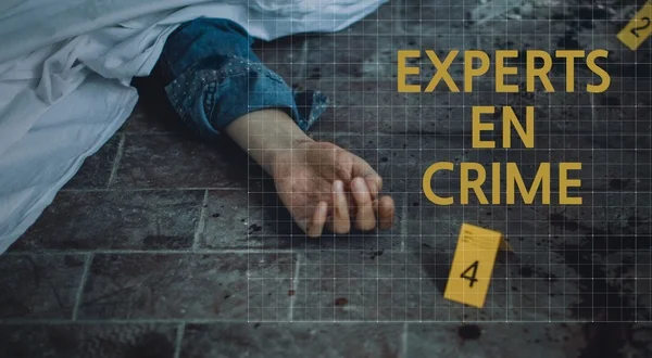 Experts en crime