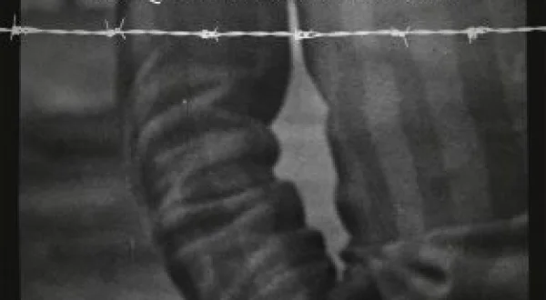Bergen-Belsen: Lo que encontraron