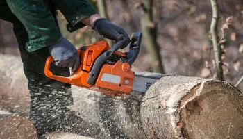 Timber Titans – Kanadas härteste Holzfäller