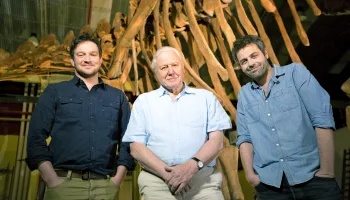 Die Entdeckung der Riesensaurier