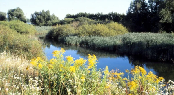 Die Donau