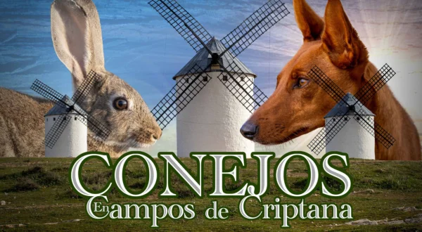 Conejos en campo de Criptana