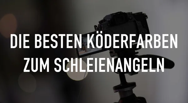 Die besten Köderfarben zum Schleienangeln