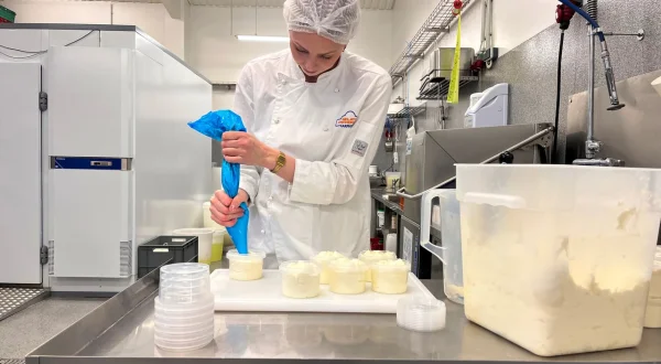 next BITE – Proteine neu gedacht