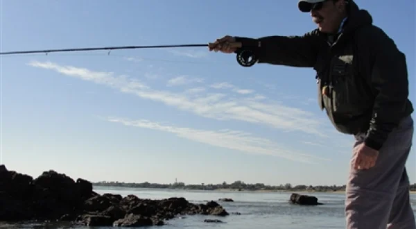 Pesca visión
