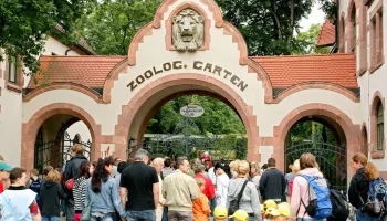 Elefant, Tiger & Co.