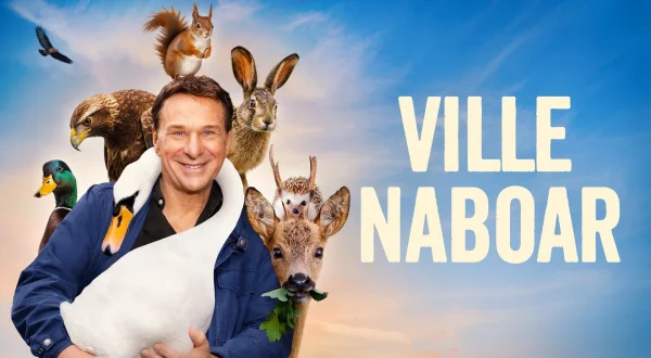 Ville naboar