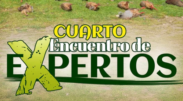 ¡Quedada de expertos 2026!