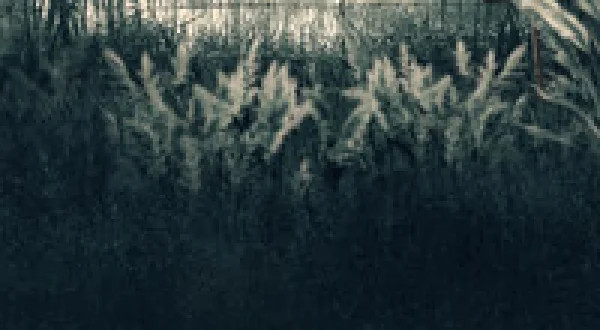 Chernobyl, My Promised Land