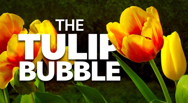 The Tulip Bubble