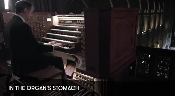 In the Organ's Stomach