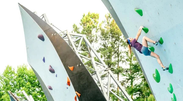 Here to Climb