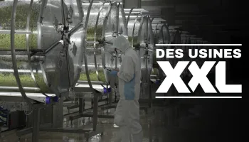 Des usines XXL