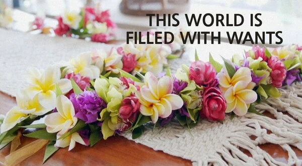 This World is Filled with Wants