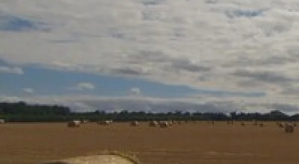 Escape to the Country